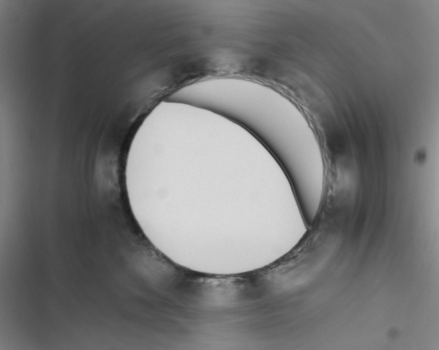 X0000116460524201001201303