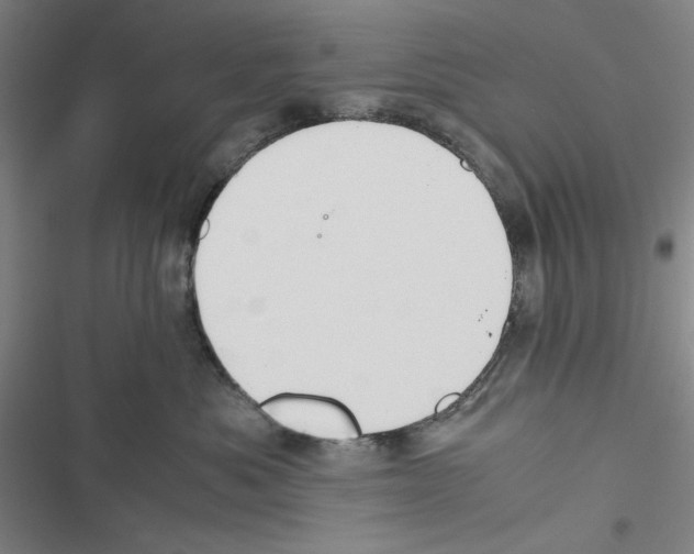 X0000116460525201001201303