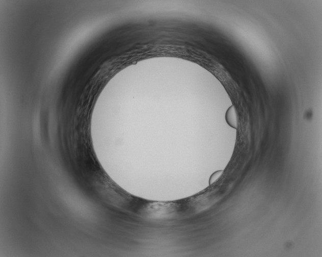 X0000116460526201001201303