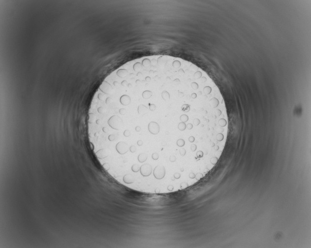 X0000116460527201001201303