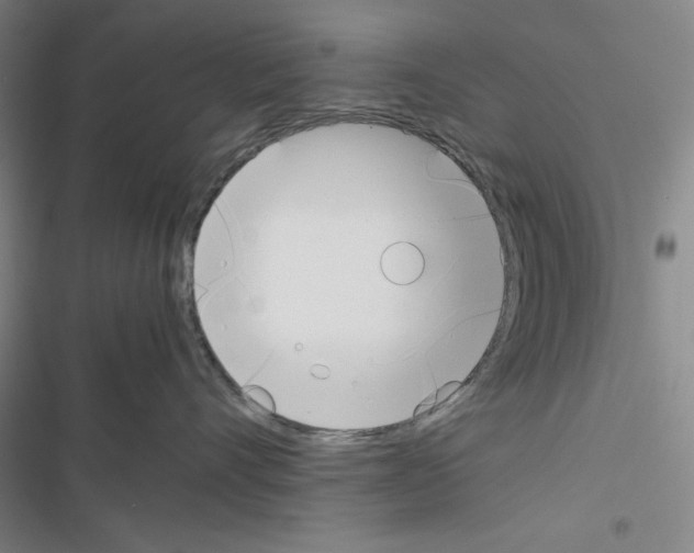 X0000116460528201001201303