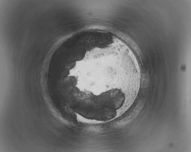 X0000116460529201001201302