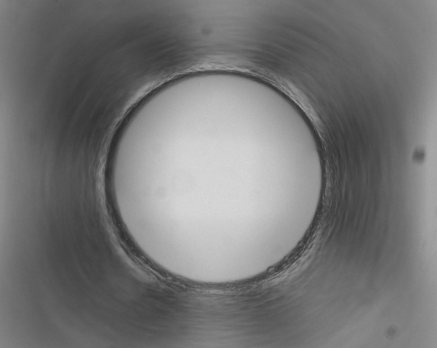 X0000116460530201001201302