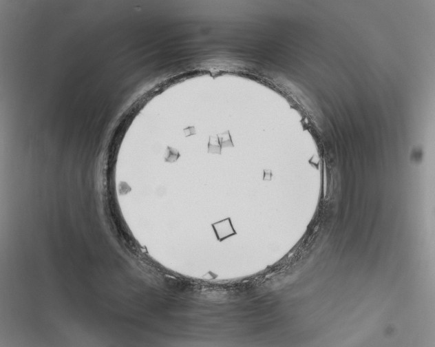 X0000116460531201001201302