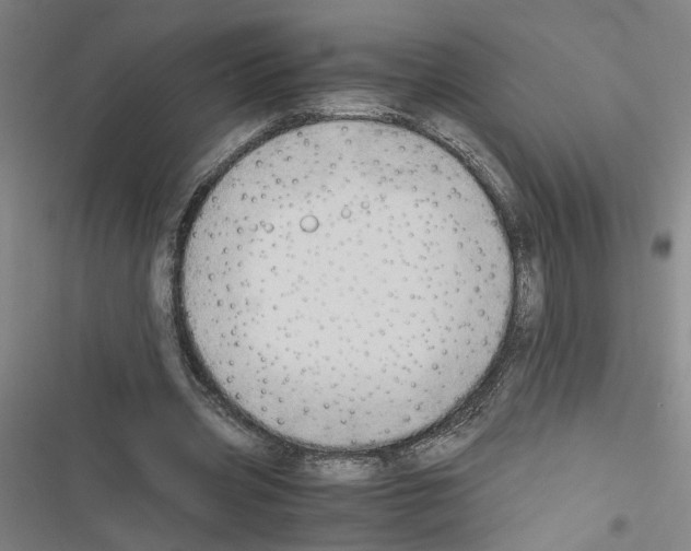 X0000116460533201001201302