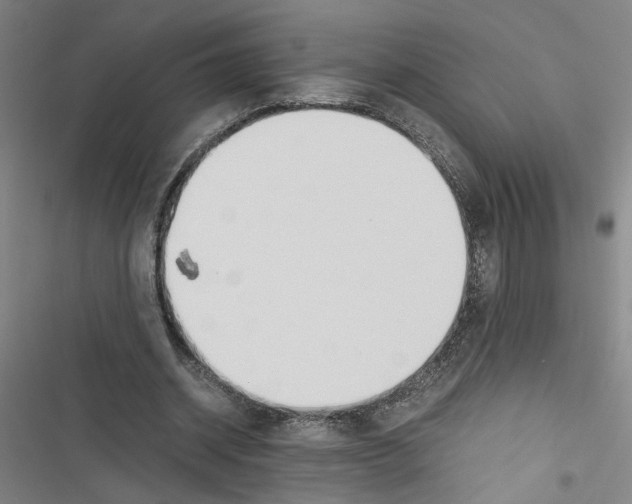 X0000116460534201001201302