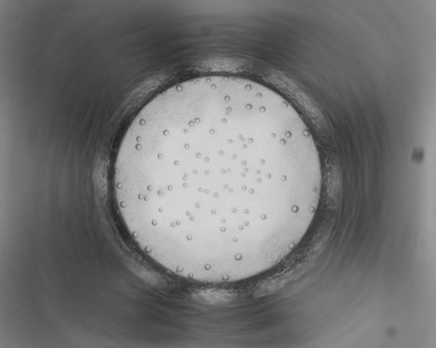 X0000116460537201001201302