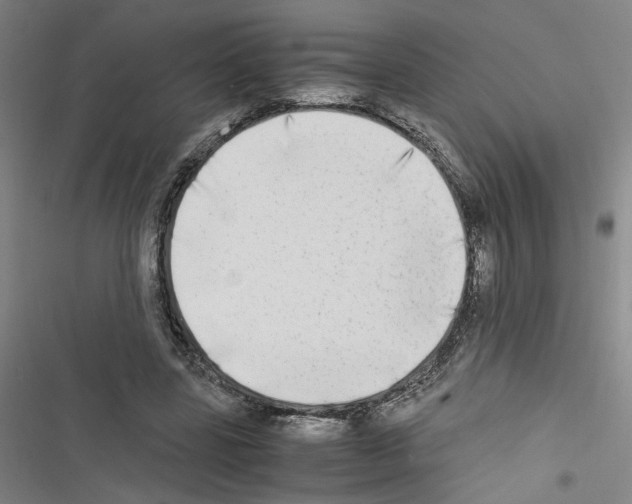 X0000116460539201001201302