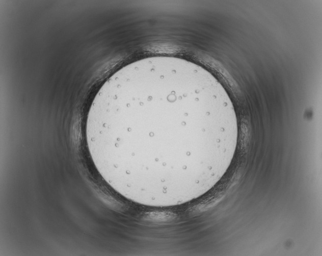 X0000116460541201001201302