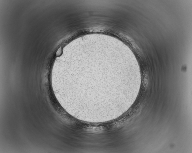 X0000116460543201001201302