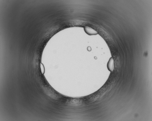 X0000116460546201001201302