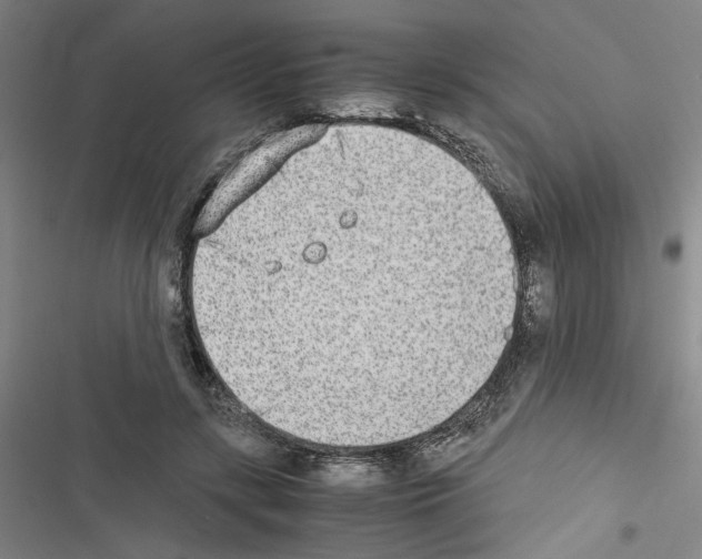 X0000116460547201001201302