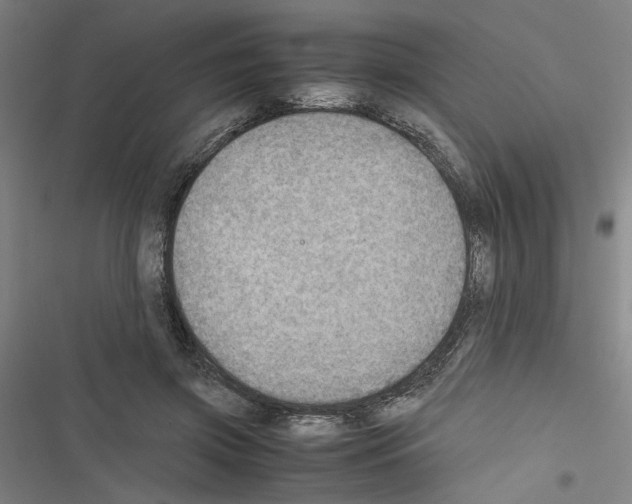X0000116460549201001201302