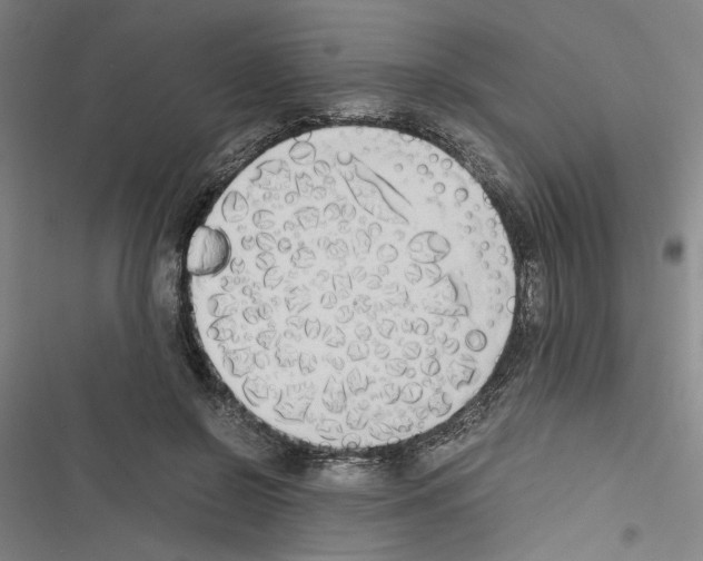 X0000116460550201001201302