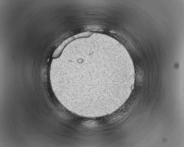 X0000116460551201001201302