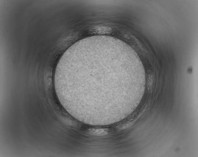 X0000116460553201001201302