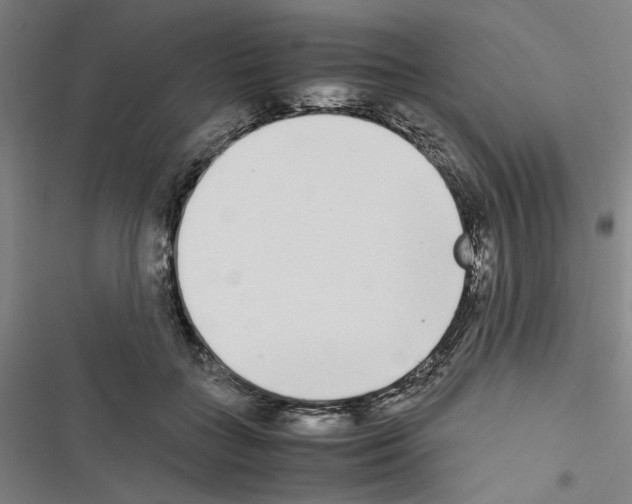 X0000116460555201001201302