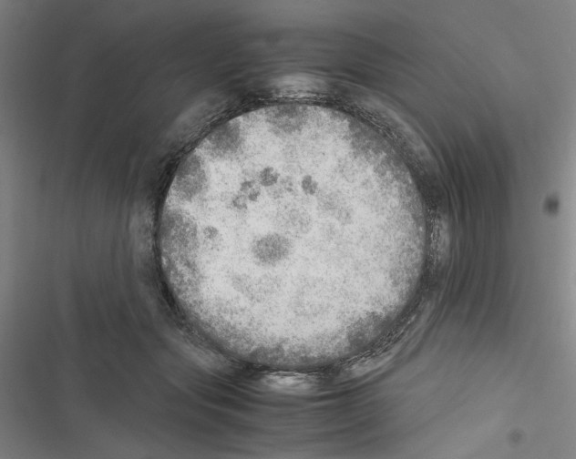 X0000116460557201001201302