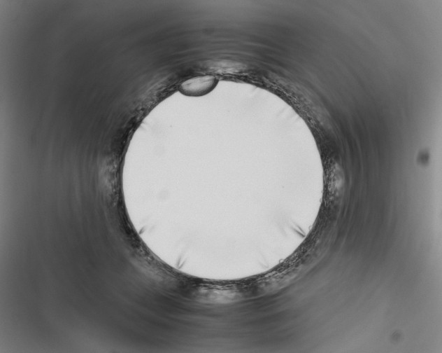X0000116460559201001201302