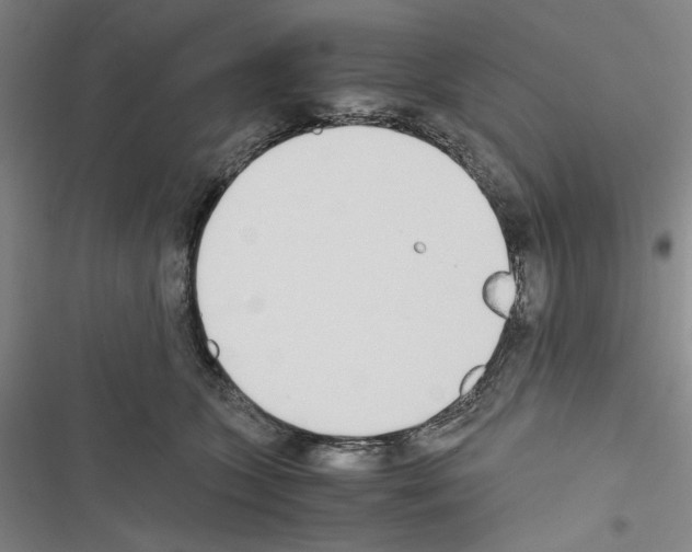 X0000116460563201001201302