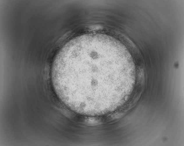 X0000116460565201001201302