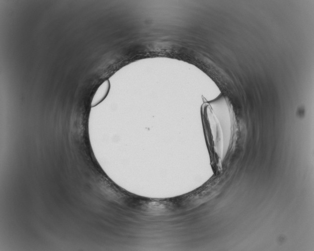 X0000116460566201001201302