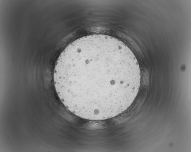 X0000116460569201001201303