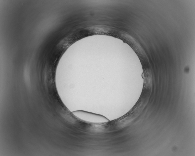 X0000116460573201001201303
