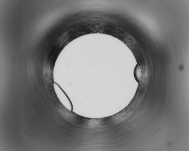 X0000116460574201001201303