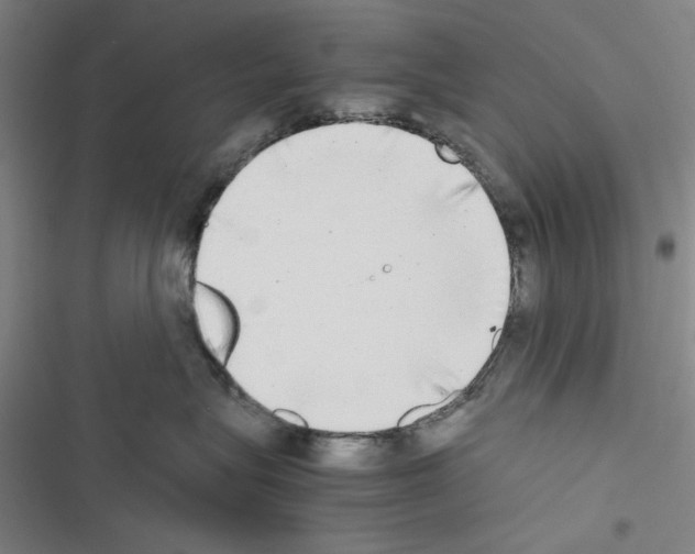 X0000116460575201001201303