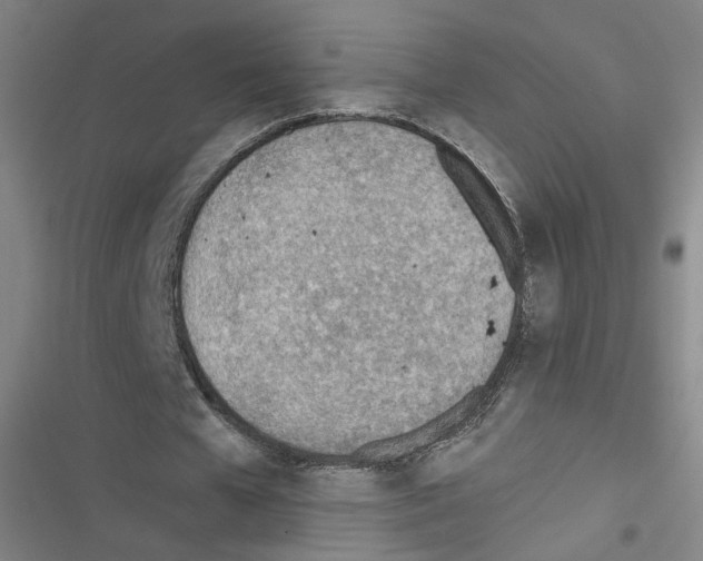 X0000116460577201001201302