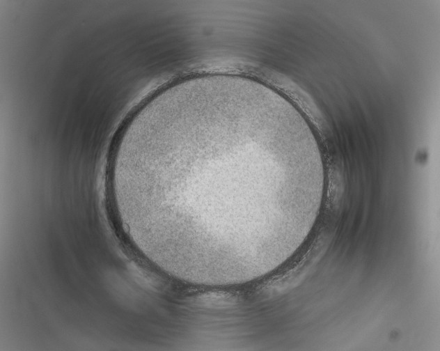 X0000116460578201001201302