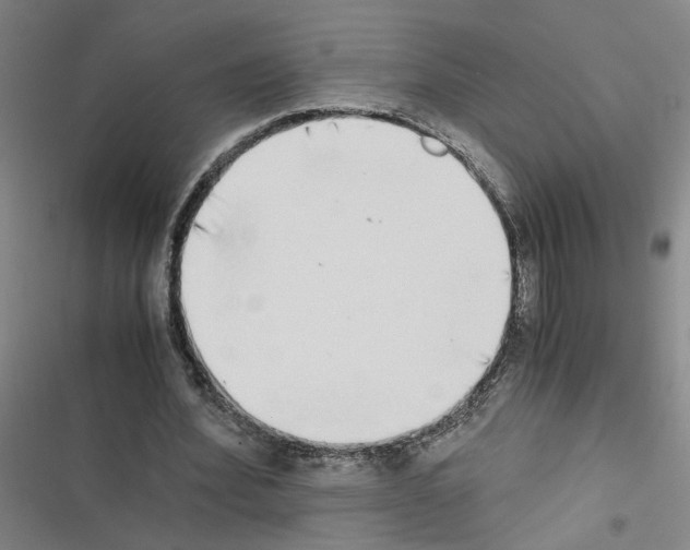 X0000116460580201001201302