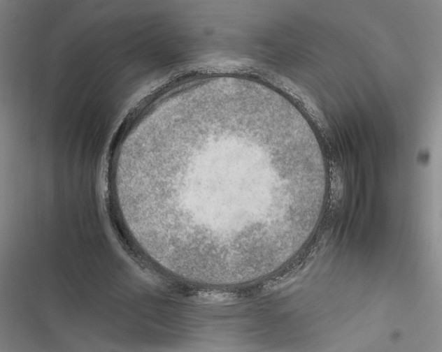 X0000116460582201001201302