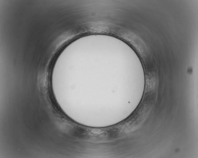 X0000116460583201001201302