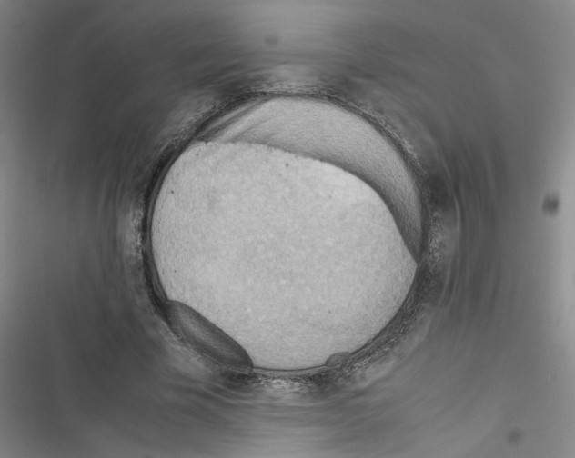 X0000116460585201001201302