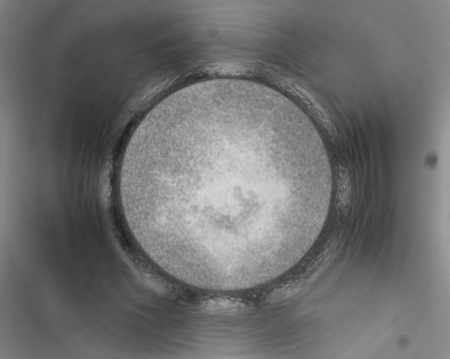 X0000116460586201001201302