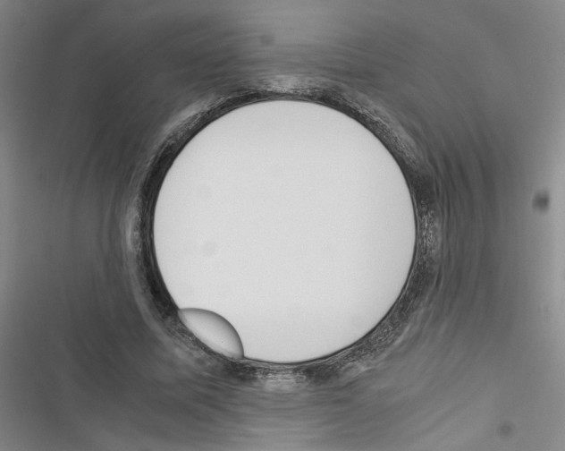 X0000116460587201001201302