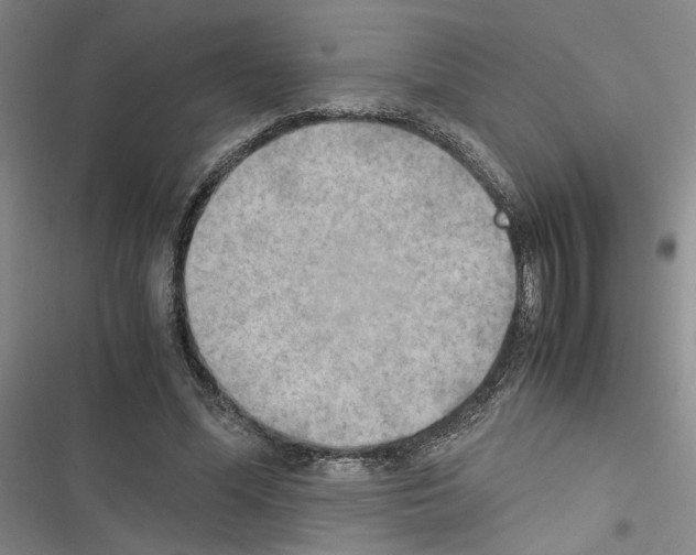 X0000116460588201001201302