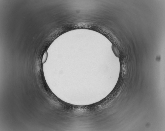 X0000116460593201001201302