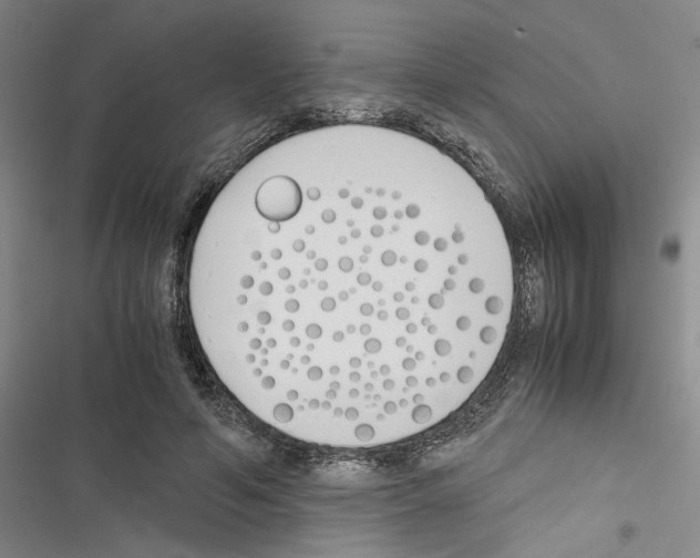 X0000116460594201001201302