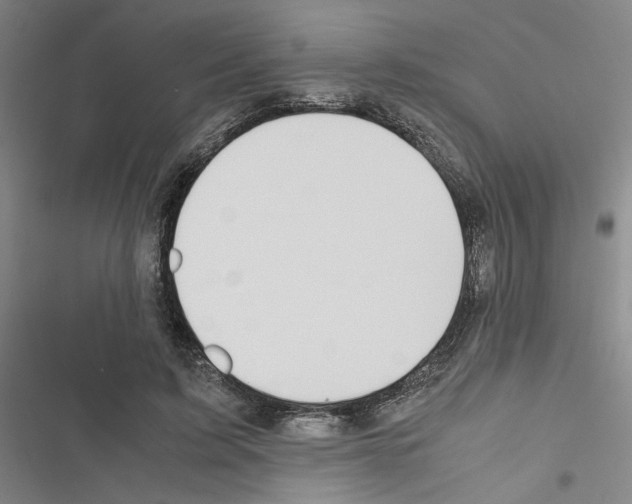 X0000116460595201001201302