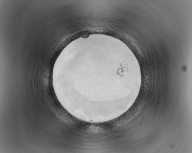 X0000116460596201001201302