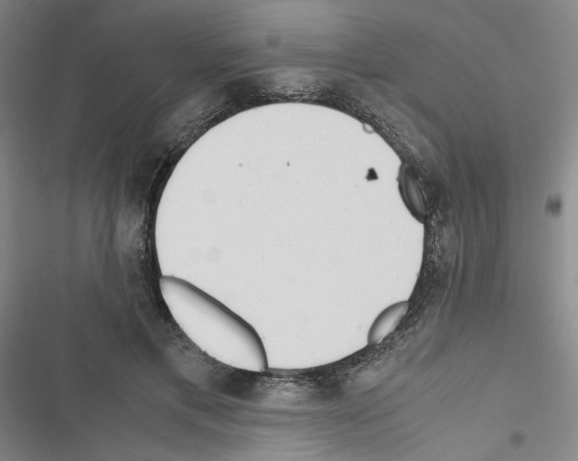 X0000116460597201001201302