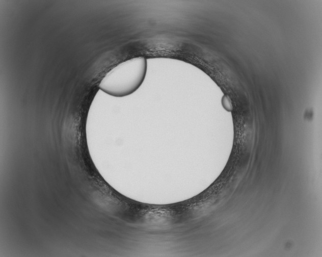 X0000116460599201001201302