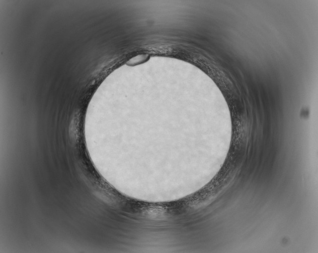 X0000116460600201001201302