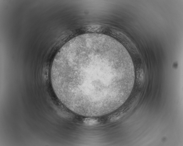 X0000116460602201001201302