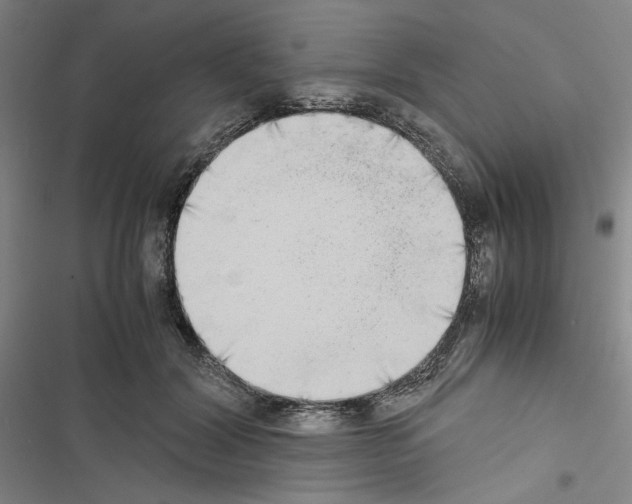 X0000116460604201001201302