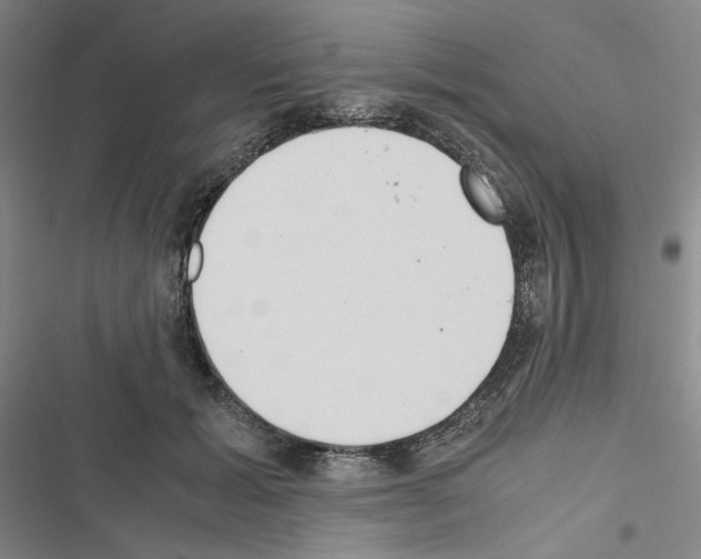 X0000116460605201001201302