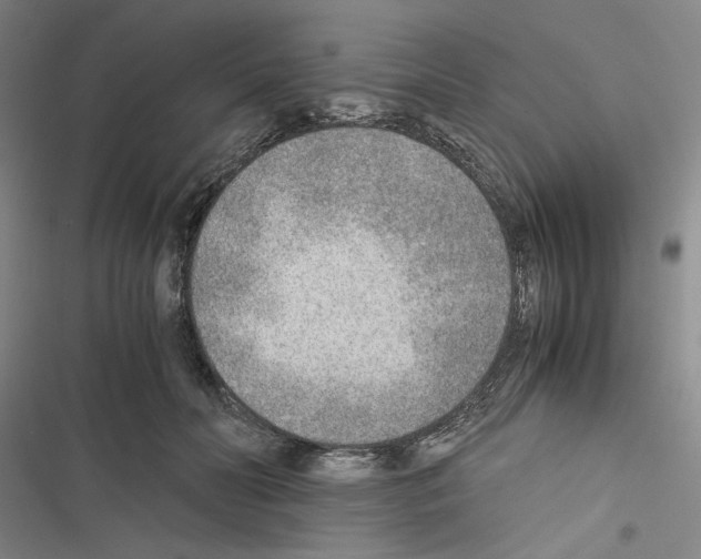 X0000116460606201001201302